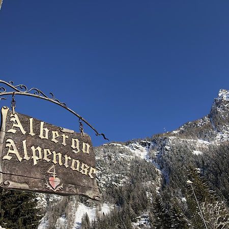 Albergo Alpenrose Ski&Bike Mountain Hotel Gressoney-Saint-Jean Ngoại thất bức ảnh