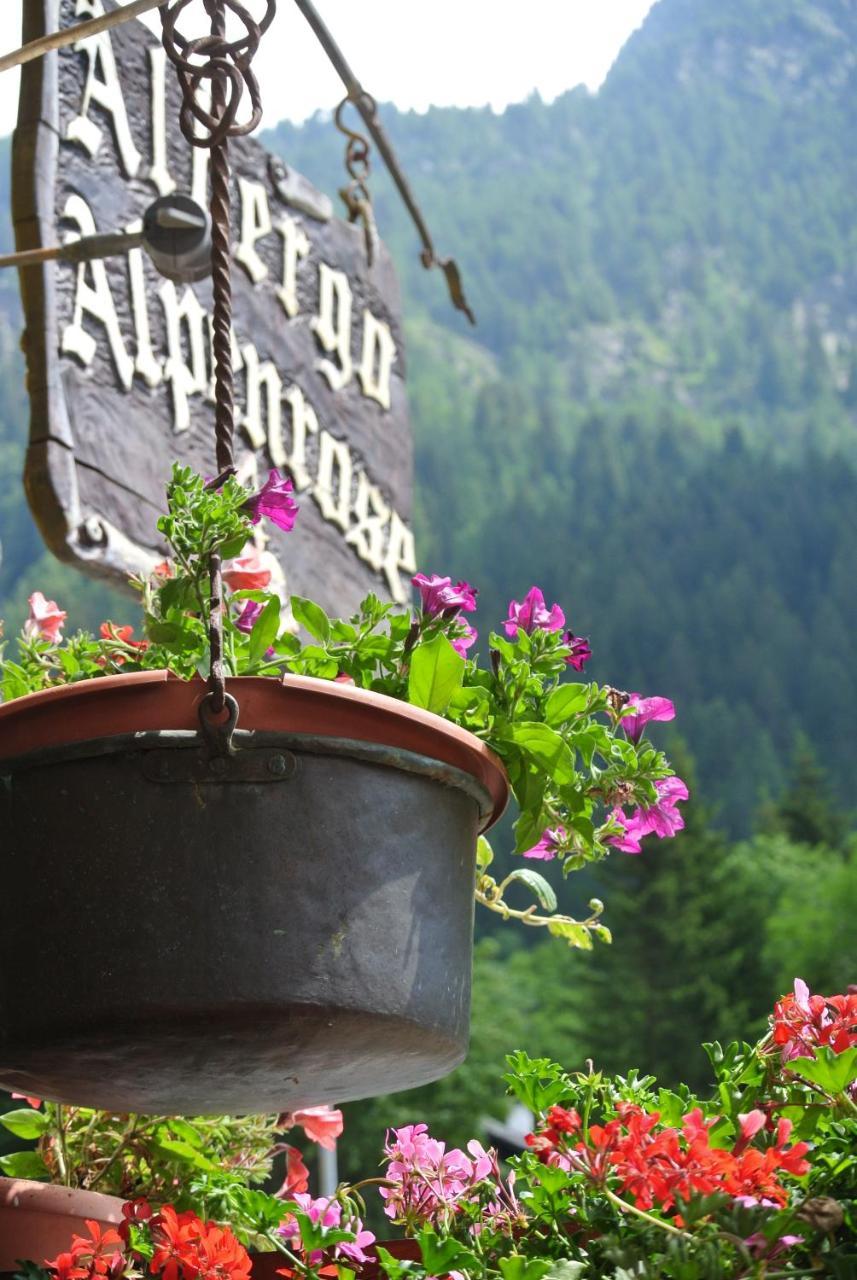 Albergo Alpenrose Ski&Bike Mountain Hotel Gressoney-Saint-Jean Ngoại thất bức ảnh