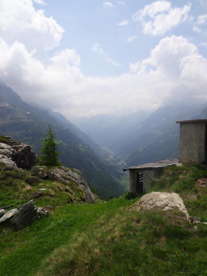 Albergo Alpenrose Ski&Bike Mountain Hotel Gressoney-Saint-Jean Ngoại thất bức ảnh
